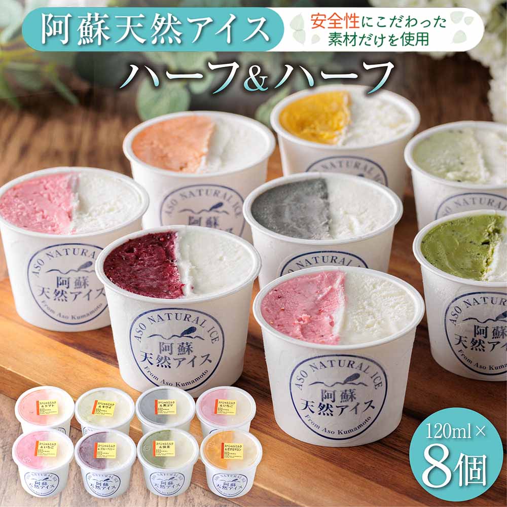 ジェラート アイス 阿蘇天然アイス ふるさと納税 スイーツ ハーフ&ハーフ 8個 バラエティー セット フルーツ アイス お菓子 お取り寄せ ギフト 贈答 贈り物 ギフト お子様 おやつ 美味しい 贅沢 素材 冷凍 熊本県 阿蘇市