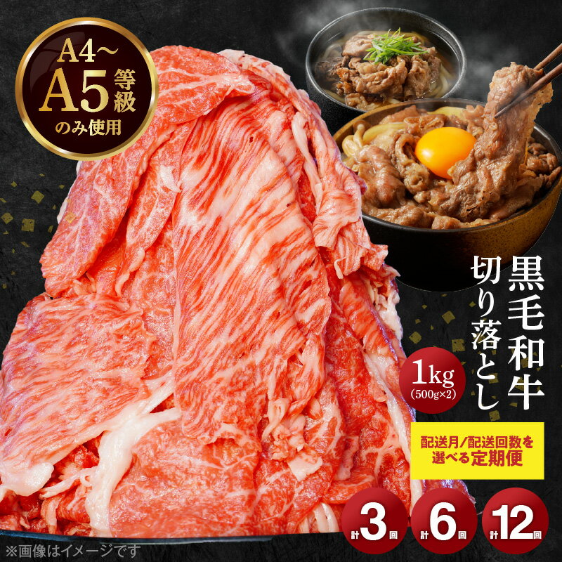 【定期便】 選べる 3回 6回 12回 高評価 ミシュランビブグルマン 獲得 黒毛和牛 切り落とし 500g × 2パック A4 〜 A5等級 特選 毎月届く 肉 牛肉 和牛 国産 サシ 霜降り 黒毛和種 炒め物 牛丼 肉じゃが 肉うどん 熊本県 天草市 お取り寄せ グルメ 送料無料