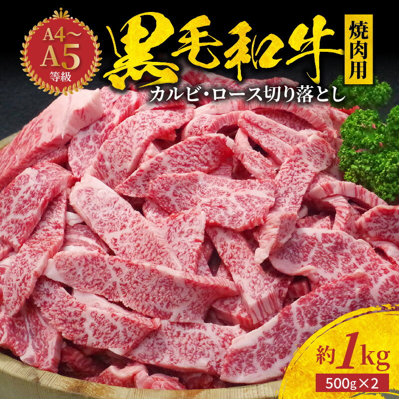 ミシュランビブグルマン 獲得 黒毛和牛 焼肉用 約 1kg 500g × 2パック ロース カルビ 切り落とし A4 〜 A5 等級 厚切り きめ細かい 霜降り サシ 複数部位 ミックス 美味しい お肉 牛 牛肉 焼肉 専門店 お取り寄せ グルメ 熊本県 天草市 送料無料