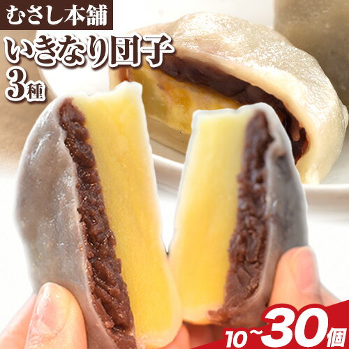 お菓子 スイーツ むさし本舗の いきなり団子 10個 20個 30個 (黒粒あん 黒こしあん 白あん ) 団子 さつまいも 和菓子 特産品 郷土料理 お土産 ギフト 熊本県 長洲町《60日以内に出荷予定(土日祝除く)》