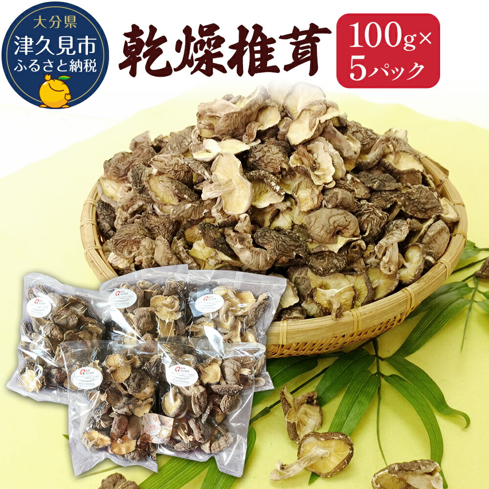 乾燥椎茸 訳あり 椎茸100g×5パック 乾しいたけ 干し椎茸 干ししいたけ 乾燥しいたけ 干しシイタケ 原木 大分県産 九州産 津久見市 国産 送料無料