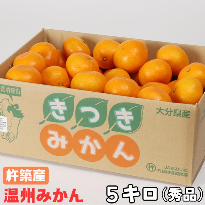 杵築産 温州みかん5kg(秀品) / みかん 柑橘類 5kg 11月 12月 1月 先行予約 温州みかん フルーツ 10000円 <132-001>