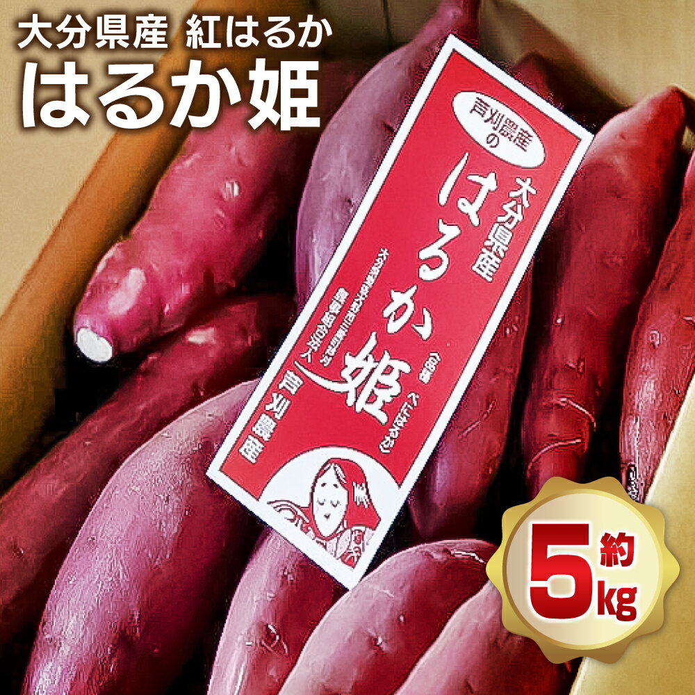 【先行予約】 はるか姫 約5kg さつまいも べにはるか 紅はるか 芋 薩摩芋 甘藷 野菜 焼きいも 国内産 大分県産 豊後大野市産 おやつ スイーツ しっとり 送料無料【2025年11月下旬より順次発送】
