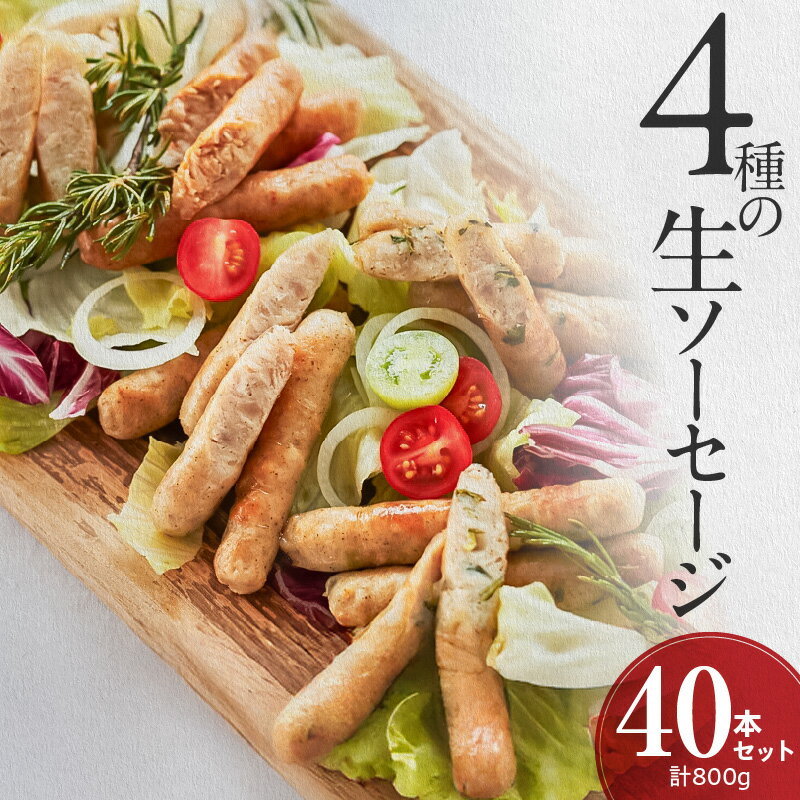 【ふるさと納税】保存料 酸化防止剤 発色剤 無添加 生 ソーセージ 10本 × 4種 40本 800g 詰め合わせ 食べ比べ セット ウィンナー 生ソーセージ プレーン 味一ネギ 柚子胡椒 ニラ 小分け 国産 豚肉 鶏肉 お取り寄せ グルメ おかず おつまみ BBQ アウトドア キャンプ 送料無料