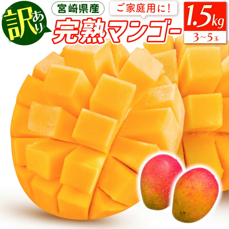 《2026年発送先行予約》【数量・期間限定】宮崎特産品「訳あり」宮崎県産完熟マンゴー 1.5kg(3玉〜5玉) 完熟マンゴー 完熟 訳あり 規格外 規格外品 不揃い 色むら 家庭用 自宅用 おすそ分け キズ 果物 フルーツ デザート スイーツ 果肉 芳醇 宮崎市 送料無料