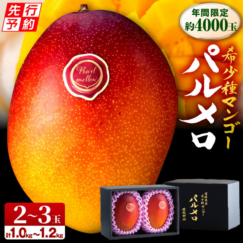 《2026年発送先行予約》【数量・期間限定】宮崎県産 希少種マンゴー パルメロ 計 約1.0kg〜1.2kg 2〜3玉入り 完熟 冷蔵 希少 芳醇 完熟マンゴー 高糖度 農家直送 高品質 オススメ フルーツ 果物 宮崎県 宮崎市 送料無料