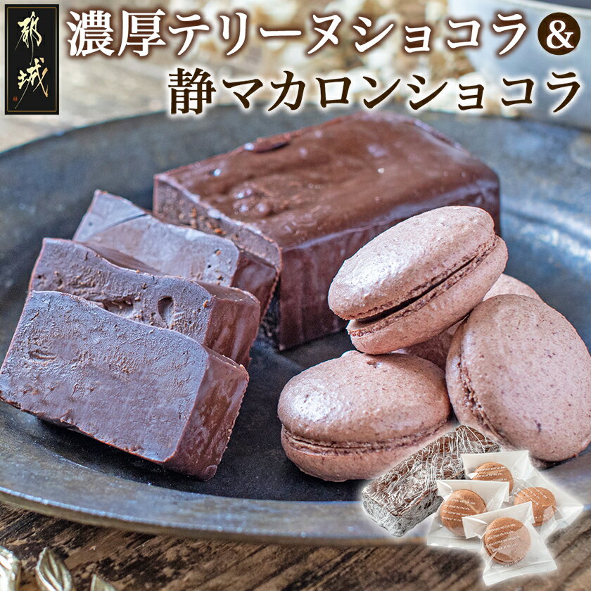 濃厚テリーヌショコラ&静マカロンショコラセット - カカオ分72% チョコレート好きに 洋菓子 お菓子 おやつ スイーツ 冷凍 お歳暮 送料無料 LG-C203 【宮崎県都城市は2年連続ふるさと納税日本一!】