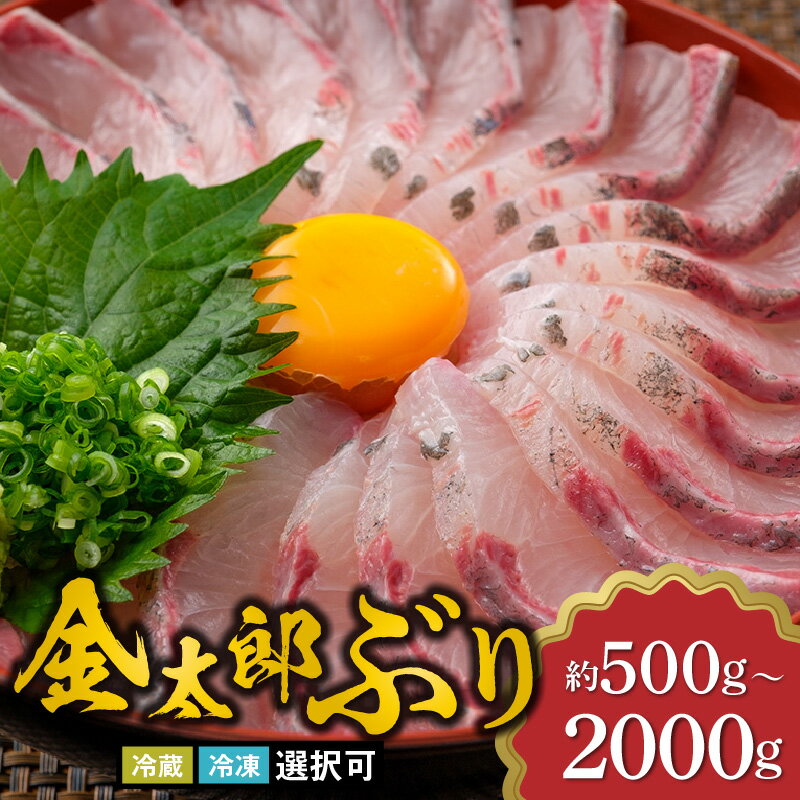 宮崎産 金太郎 ぶり 選べる 内容量 500g 〜 2kg 配送方法 冷蔵 冷凍 新海屋 鰤屋金太郎 スキンレスロイン 皮引き済み 深い 味わい ぷりぷり 国産 真空パック 鰤 刺身 魚 照り焼き ぶり大根 ぶりしゃぶ 海鮮丼 鮮魚 食品 宮崎県 延岡市 お取り寄せ 送料無料