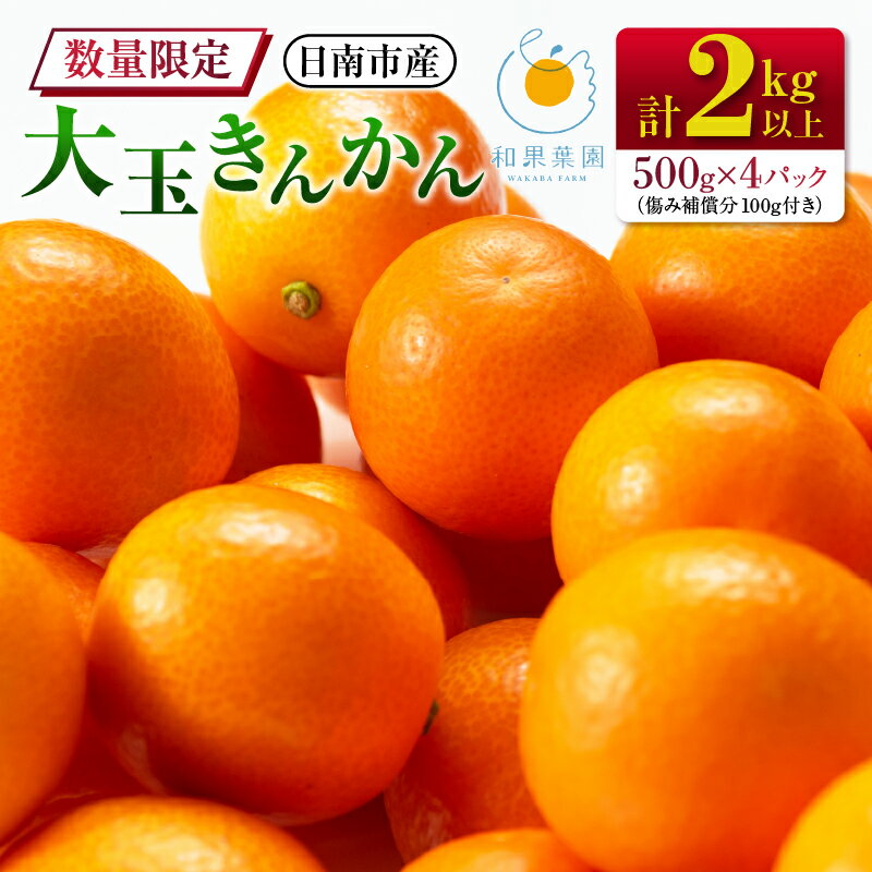食べ応え抜群 大玉 きんかん 計2kg以上 傷み補償分付き 数量限定 期間限定 フルーツ 果物 くだもの 柑橘 金柑 先行予約 国産 希少 人気 おすすめ ジャム おやつ デザート 小分け おすそ分け 贈り物 ギフト 贈答 ご褒美 産地直送 宮崎県 日南市 送料無料
