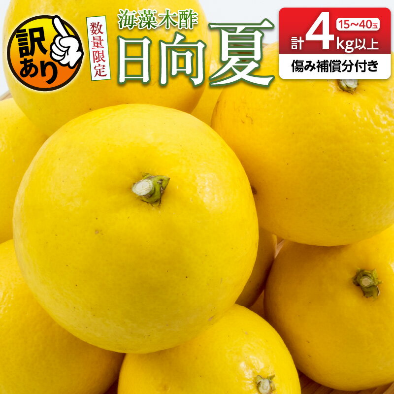 先行予約 訳あり 海藻木酢 日向夏 小夏 計4kg以上 傷み補償分付き 期間限定 数量限定 フルーツ 果物 くだもの 柑橘 みかん 訳アリ 国産 食品 デザート おやつ おすそ分け おすすめ ご家庭用 ご自宅用 B品 傷 マーマレード 産地直送 宮崎県 日南市 送料無料