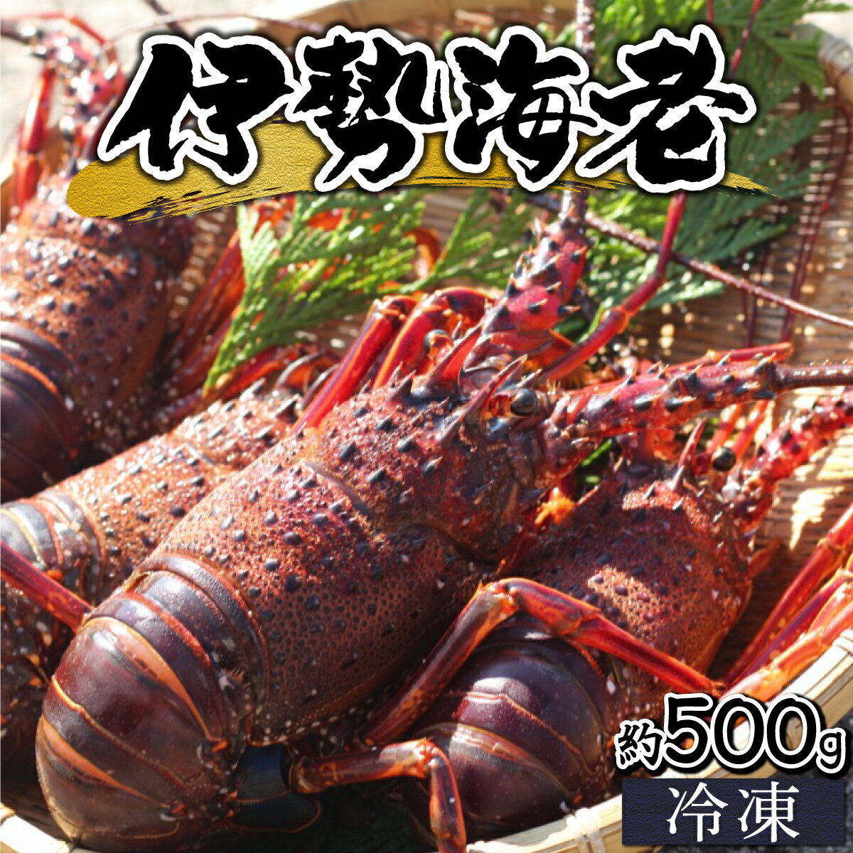 【先行予約】【数量限定】<生冷凍>宮崎県串間産 天然伊勢エビ(計約500g・1〜3匹) 串間産の伊勢エビを鮮度そのままにお届け! 生のまま冷凍しているのでお刺身・焼物・味噌汁でも頂けます!【合同会社Houryoumaru】【KU345】