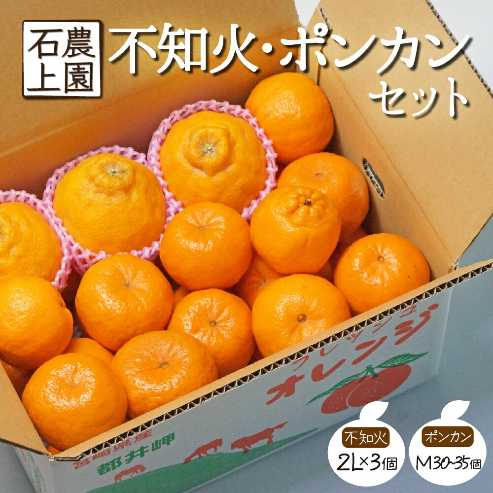 <先行予約受付中!2025年12月末から順次発送>串間市都井「石上農園」の不知火・ポンカンセット(不知火2Lサイズ×3個、ポンカンMサイズ・30玉〜35玉)みかん 柑橘 ぽんかん セット フルーツ 果物【石上農園】【AF-A2】