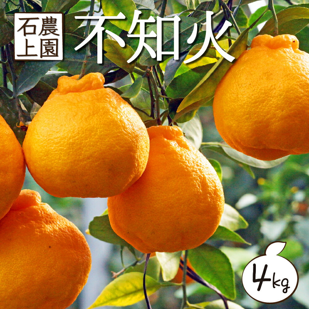 <先行予約受付中!2026年2月中旬から順次発送>串間市都井「石上農園」の訳あり 「蔵出し」不知火 4kg (12〜15玉) ミカン 蜜柑 フルーツ 果物【石上農園】【AF-A3】