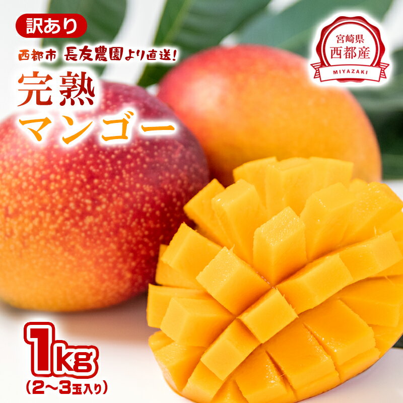 長友農園 完熟マンゴー1kg「訳あり」2~3玉 宮崎県 西都産<1.2-59>【先行予約】令和8年収穫分 果物 フルーツ