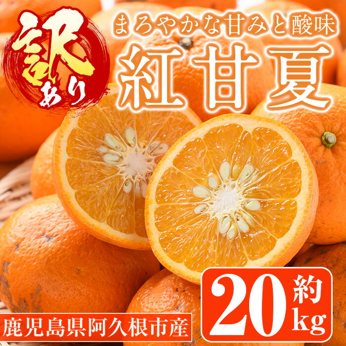 <先行予約受付中!2026年1月中旬以降順次発送予定>訳あり紅甘夏(約20kg) 国産 果物 フルーツ 柑橘 期間限定 紅甘夏【桐野柑橘株式会社】akn070-09