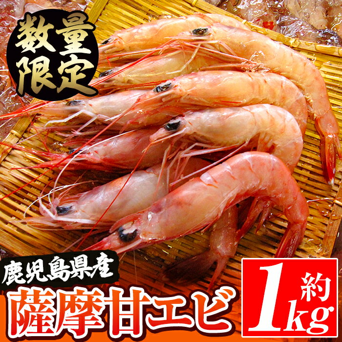 \高評価★4.42獲得!/数量限定!鹿児島県阿久根産 薩摩甘エビ(約1kg・40〜70尾) 国産 阿久根市産 えび 海老 急速冷凍 冷凍配送 魚貝類 魚介類 海産物 【濱崎魚類】akn023-05