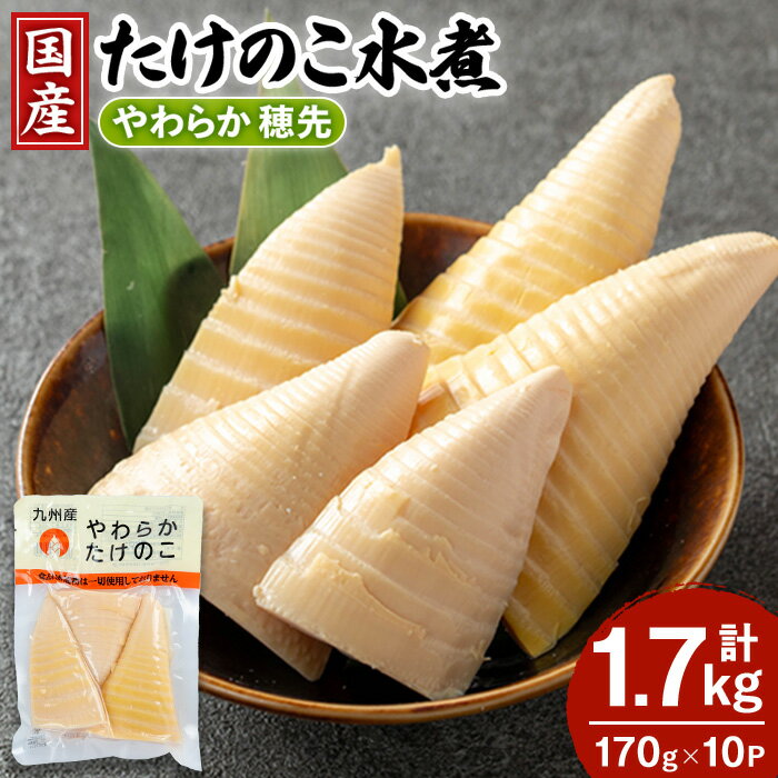 国産たけのこ水煮 穂先のみ (計1.7kg・170g×10P) 小分け 国産 九州産 たけのこ 筍 タケノコ 水煮 常温保存 常温 料理 煮物 炊き込みご飯 おでん 料理 お手軽 【旬彩館】