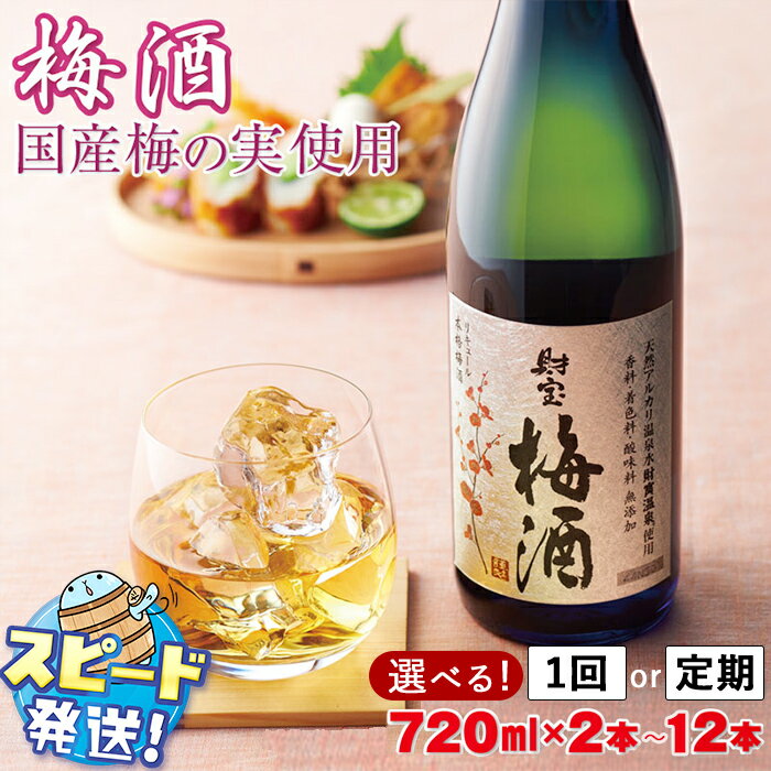 梅酒 2本セット 国産梅 国産はちみつ 使用 濃厚な味わい 4合瓶 720ml アルコール 12度 天然アルカリ温泉水 財寶温泉 使用 本格梅酒 定期便 ストレート ロック 炭酸割り 水割り 女性 人気 鹿児島県 すぐ届く【財宝】