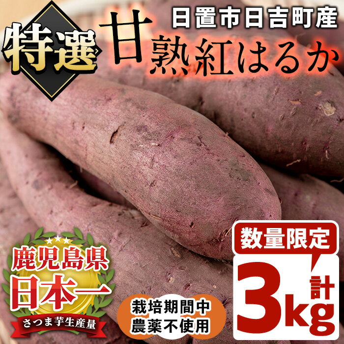<先行予約受付中!>鹿児島県産!栽培期間中農薬不使用 特選甘熟さつまいも(生)紅はるか3kg(S・M・Lサイズ 混在) 贈り物にも!いも 芋 さつまいも サツマイモ 焼き芋 大学芋 スイーツ 熟成 ギフト 贈答用 【上原農園】