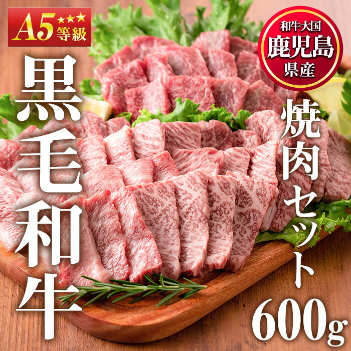 <A5等級>鹿児島県産黒毛和牛焼肉セット(計600g・霜降り焼肉200g×2P、赤身焼肉200g×1P) 国産 九州産 牛肉 黒毛和牛 和牛 焼肉 焼き肉 赤身 霜降り A5 A5ランク A5等級 食べ比べ セット 冷凍【カミチク】