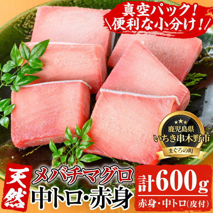 旬の天然メバチまぐろ中トロ・赤身の厳選セット(合計約600g)!お刺身 海鮮丼 マグロ丼 海鮮 魚介 鮪 まぐろ 柵 中トロ 赤身 【海鮮まぐろ家】