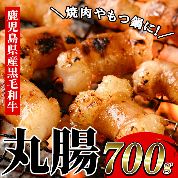 【厳選!】鹿児島県産黒毛和牛 丸腸 (計700g) 冷凍 まるちょう ホルモン もつ鍋 焼肉 牛肉 肉 もつ モツ 内臓 国産牛 モツ鍋 もつなべ 九州 国産 ギフト 黒毛和牛【バクロ】