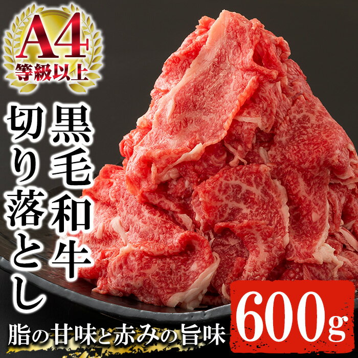 鹿児島県産黒毛和牛切り落とし(約600g) A4等級以上 肉 国産 牛 切り落とし 九州 黒毛和牛 和牛 牛肉 牛丼 肉じゃが【バクロ】