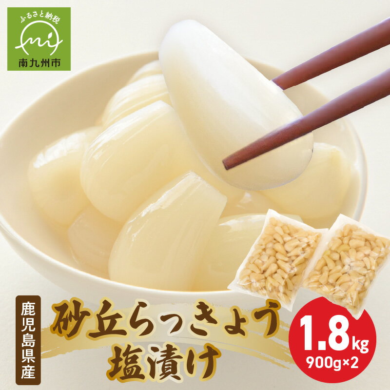 鹿児島県産 砂丘らっきょう 塩漬け 900g × 2袋 合計 1.8キロ 塩らっきょう 白玉らっきょう らっきょう シャキシャキ やみつき オリジナル漬け液 食べやすい 歯ごたえ お茶請け おつまみ 漬物 吹上砂丘地 お取り寄せ グルメ 国産 鹿児島県 南九州市 送料無料