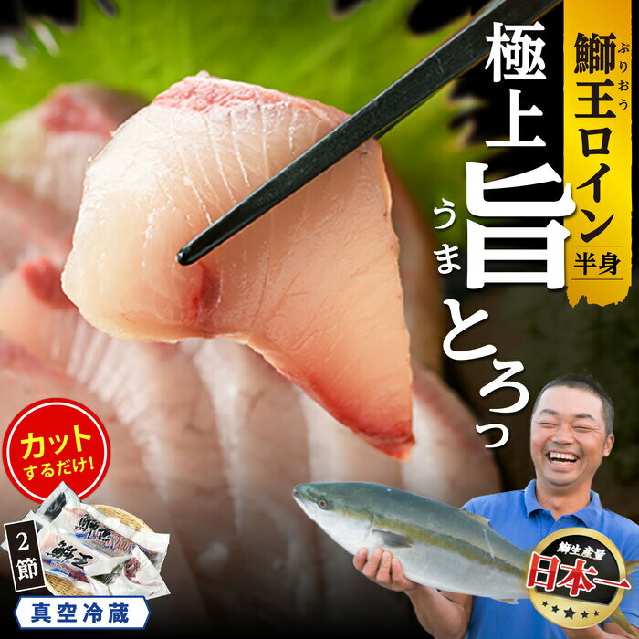 【高評価 4.79】切って盛るだけ ロイン 2節 テレビで紹介ぶりの王様「 鰤王 」 半身 切り身 真空パック 届いてすぐに食べれる 産地直送 長島町 鰤 冷蔵 ふるさと納税 ぶり 刺身 ぶりしゃぶ たたき【JFA】jfa-1484