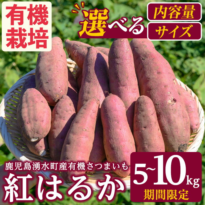 ≪内容量/サイズ選べる・期間/数量限定≫湧水町産有機さつまいも「紅はるか」(計5~10kg) 国産 九州産 鹿児島県産 有機栽培 オーガニック サツマイモ 生芋 芋 焼き芋 やきいも べにはるか ミニ ミニサイズ 野菜 おやつ スイーツ 旬 常温【そのやま農園】