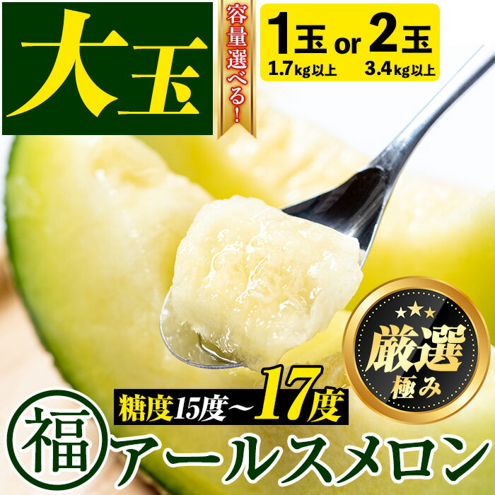 <容量が選べる!><厳選極み>マル福の高級アールスメロン(大玉1玉・1.7kg以上/大玉2玉・計3.4kg以上) メロン フルーツ 果物 果実 1キロ 3キロ 数量限定 期間限定 贈答 贈り物【マル福園芸組合】【0151110a】【0281111a】