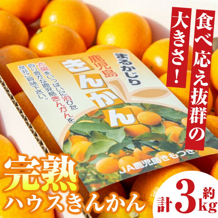 <先行予約受付中!2026年2月下旬に収穫ができ次第順次発送予定>肝付町産 完熟ハウスきんかん(約3kg×1ケース) 鹿児島 国産 フルーツ 果物 柑橘 金柑 きんかん 果汁 ギフト お歳暮【JA鹿児島きもつき高山支所】