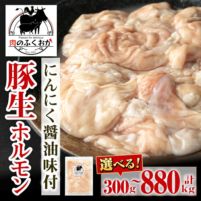 <容量が選べる!>豚生ホルモンにんにく醤油味付(約300g×1P or 計1kg・約220g×4P) 鹿児島 豚肉 ホルモン 生ホルモン にんにく 醤油 おかず 加工品 味付け 冷凍 冷凍食品 お弁当【肉のふくおか】