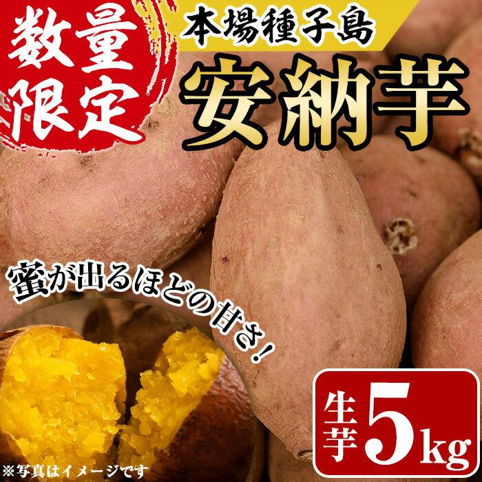 <先行予約受付中!2025年10月下旬頃より順次発送予定>種子島産 安納芋(5kg)国産 中種子町 芋 さつま芋 生芋 デザート おやつ 焼芋 やきいも 焼き芋 野菜【あぐりの里】