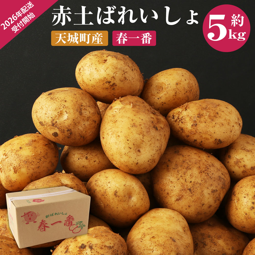 【先行受付】徳之島 天城町産 赤土ばれいしょ 新じゃが【春一番】5kg L~2L 混合サイズ ジャガイモ じゃがいも ばれいしょ バレイショ お手軽 送料無料 国産 野菜 九州産 鹿児島県産 新じゃが 春 F-4-N