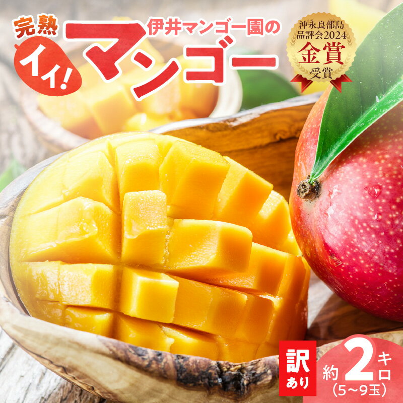 【2026年先行予約】 訳あり 完熟マンゴー 2kg 5玉 ~ 9玉 ご家庭用 伊井マンゴー園 わけあり 規格外 マンゴー フルーツ 果物 果実 先行予約 数量 期間 限定 完熟 南国 金賞 鹿児島 知名町 沖永良部島 沖永良部 おすすめ ランキング プレゼント ギフト